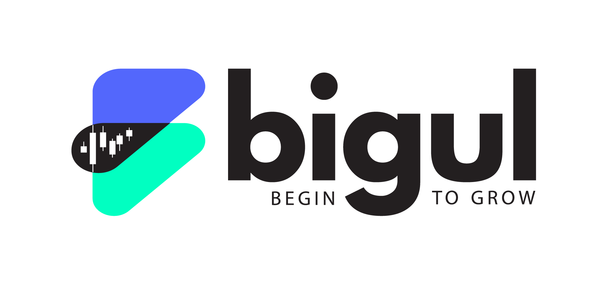 BIGUL Logo